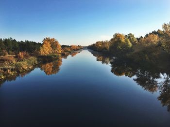 Reflection of trees in lake against clear blue sky