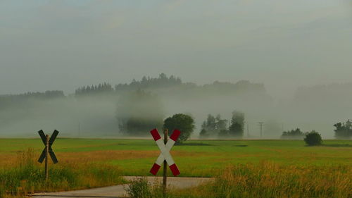 Scenic view of field against sky during foggy weather