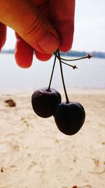 Close-up of hand holding cherry on beach