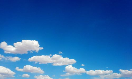 Low angle view of trees against blue sky