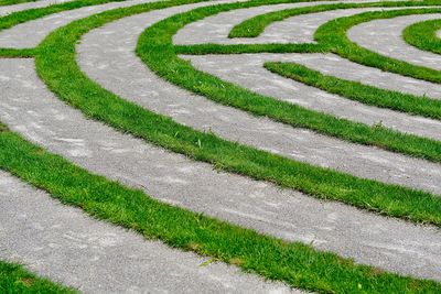 High angle view of footpath