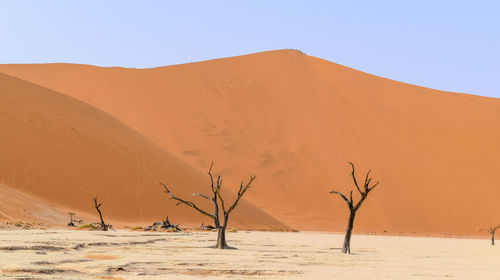 Scenic view of desert against clear sky