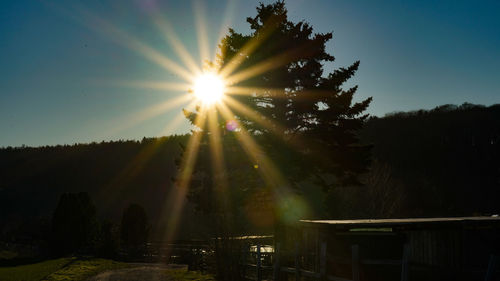 Sunlight streaming through silhouette trees against sky during sunset