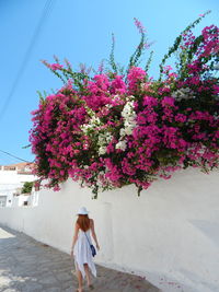 Rear view of woman walking on paving stone by wall