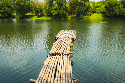 Scenic view of lake in forest