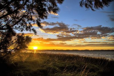 Scenic view of field against sky during sunset