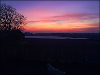 Scenic view of landscape at sunset