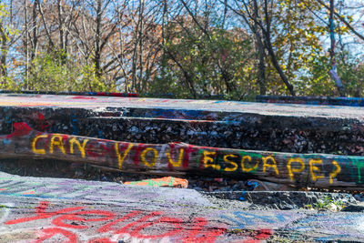 Close-up of text on tree