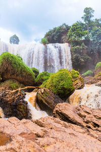 Scenic view of waterfall in forest