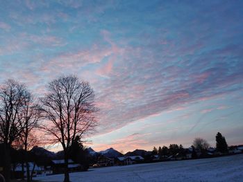 Silhouette bare trees on field against sky during sunset