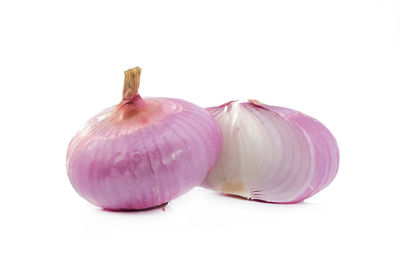 Close-up of bread against white background