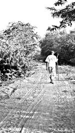 Rear view of a man walking on tree
