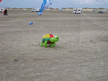 Children playing with ball on beach