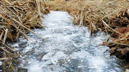 Scenic view of water