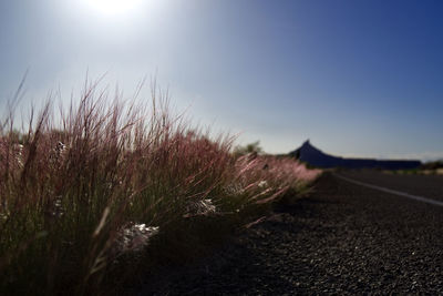 Surface level of road amidst field against sky