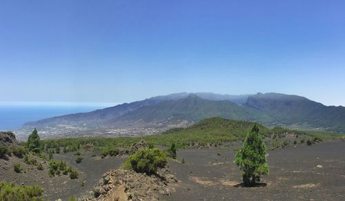 La palma 16.06.20