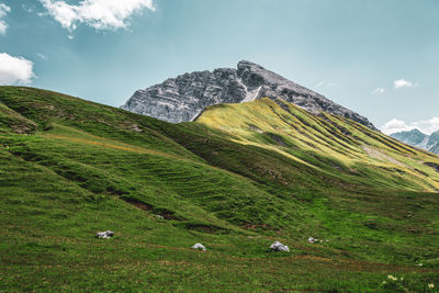 Scenic view of grassy field against sky