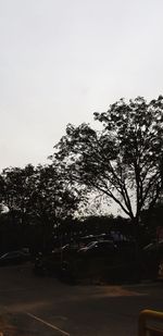 Street by trees against clear sky