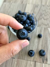 High angle view of person hand holding blueberry 