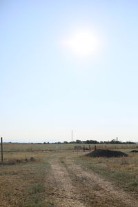 Scenic view of field against clear sky