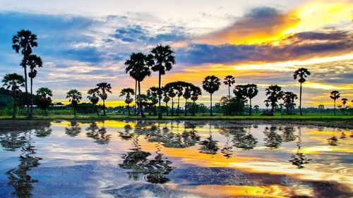 Scenic view of lake against sky during sunset