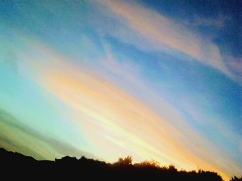 Low angle view of silhouette trees against sky