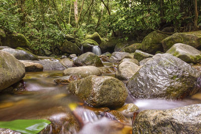 Stream flowing through rocks in forest