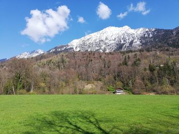 Scenic view of field against sky