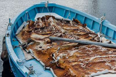 High angle view of fish in container. old blue boat with orange carpet.