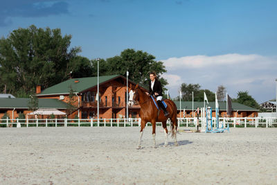 Horses on field