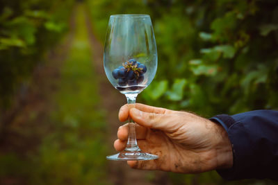 Close-up of hand holding wineglass