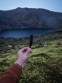 Cropped image of man standing on landscape