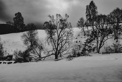 Trees on snow covered field against sky