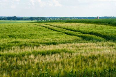 Scenic view of agricultural field against sky