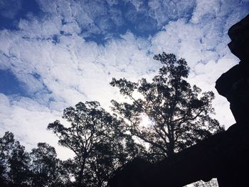 Low angle view of silhouette trees against sky