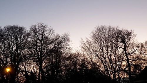 Low angle view of silhouette bare trees against clear sky