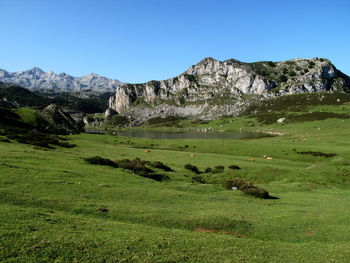 Scenic view of landscape and mountains against clear blue sky