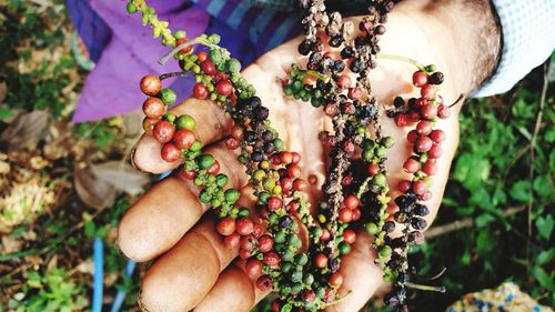 Close-up of hand holding fruit