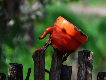 Old red rusty teapot on the wooden fence