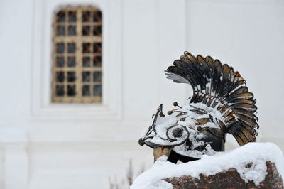 Close-up of statue against building