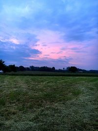 Scenic view of grassy field against sky