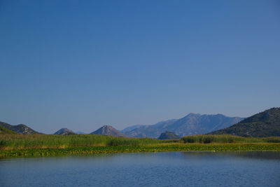 Scenic view of lake against clear blue sky