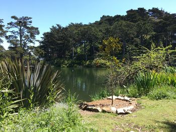 Scenic view of lake in forest against sky