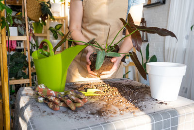 Potted plants on table