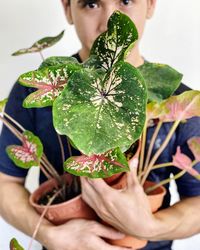 Midsection of man holding leaves