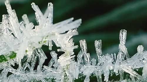 frost