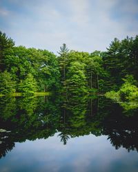 Green trees reflection in lake against sky