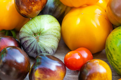 Freshly picked tomatoes of different varieties and colors on a table in the garden, close-up