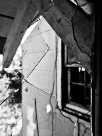 Close-up of spider web on window