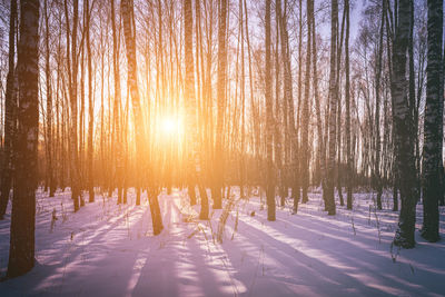 Rear view of woman walking on snow